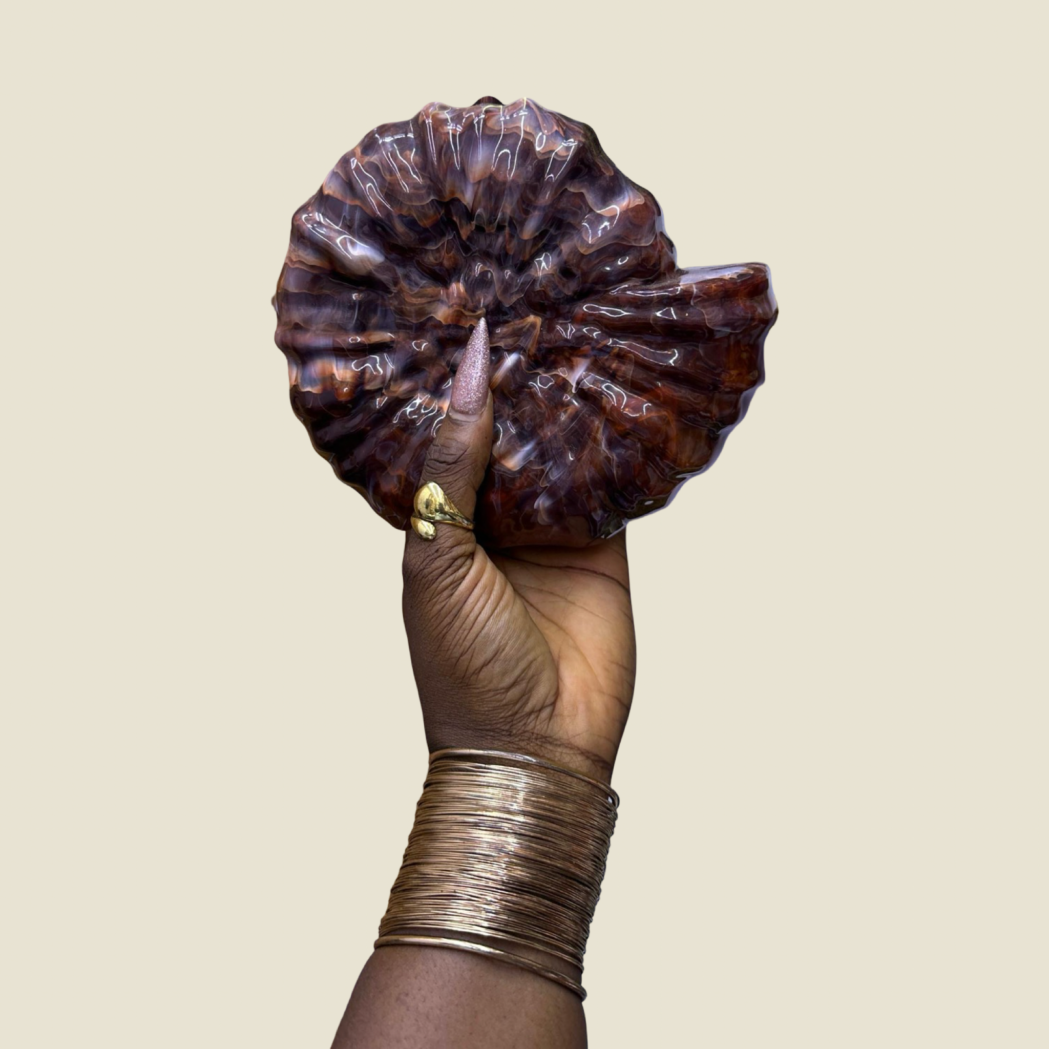 The Nautilus Purse
