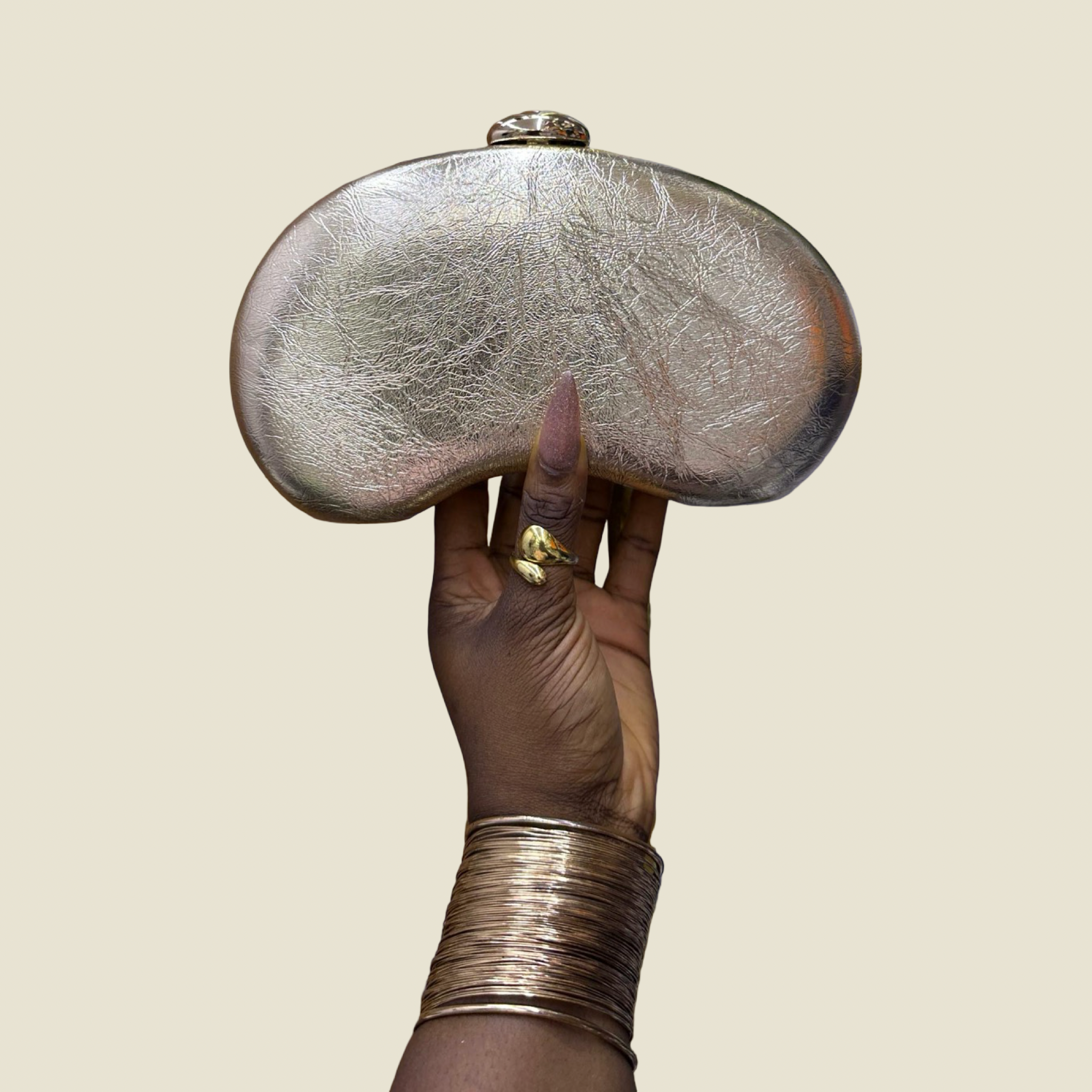 The aurora purse